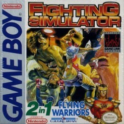 Fighting Simulator 2in1 – Flying Warriors Rom